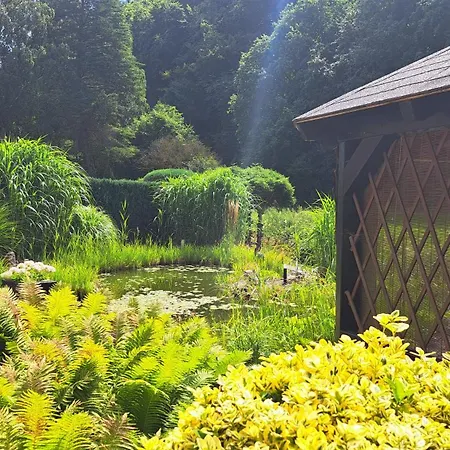 Orea Ferien-appartment Naehe Nuerburging Rhein Ahr Eifel--- Neu New Renoviert *