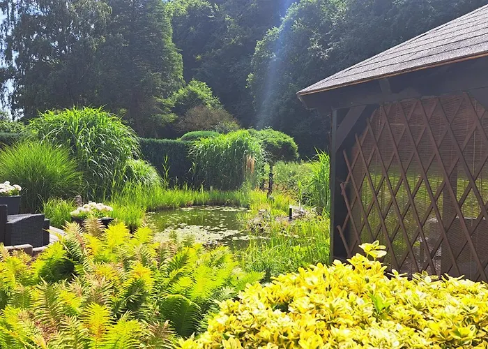 Orea Ferien-appartment Naehe Nuerburging Rhein Ahr Eifel--- Neu New Renoviert *